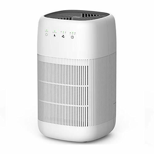 Air Purifier and Dehumidifier in 1 Afloia Q10 True HEPA Air Purifier H13 HEPA...