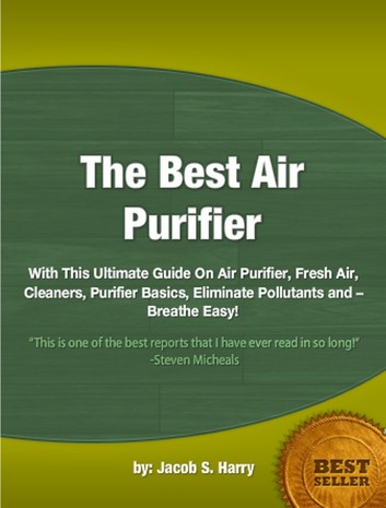 The Best Air Purifier